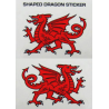 Twin Cutout Dragon Sticker
