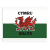 Welsh Flag Eraser