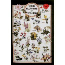 Wild Flowers of Wales Tea Towel