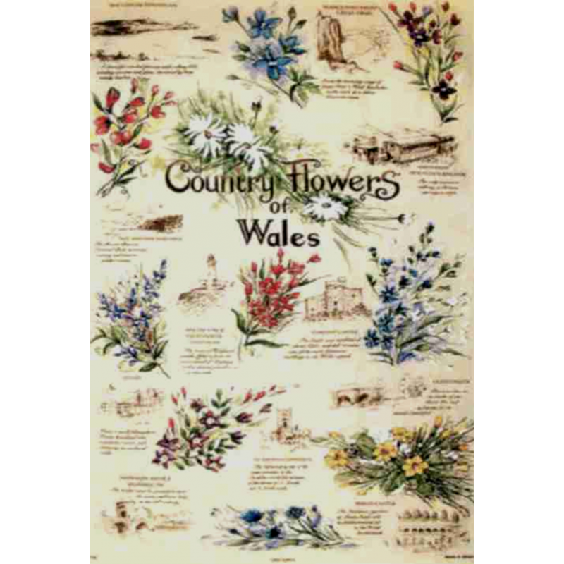 Country Flowers of Wales Tea Towel