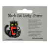 Lucky Black Cat Charm