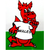 Comic Wales Dragon Sticker