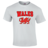 Mens Wales T-Shirt White