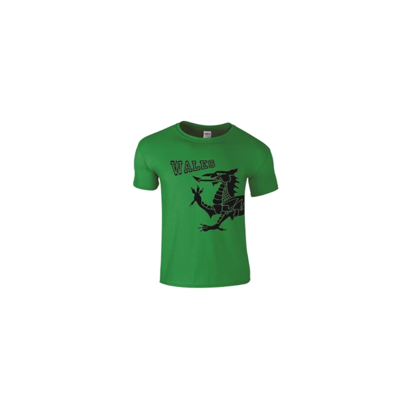Adult Wales Dragon T-Shirt Green