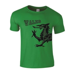 Children's Wales Dragon T-Shirt