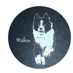Welsh Slate Coaster Collie Dog
