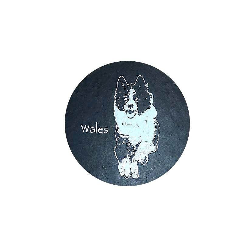 Welsh Slate Coaster Collie Dog