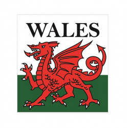 Small Outside Wales Sticker