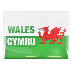Green Wales Dragon Tin Plate Magnet