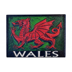 Wales 3D Printed Dragon Magnet