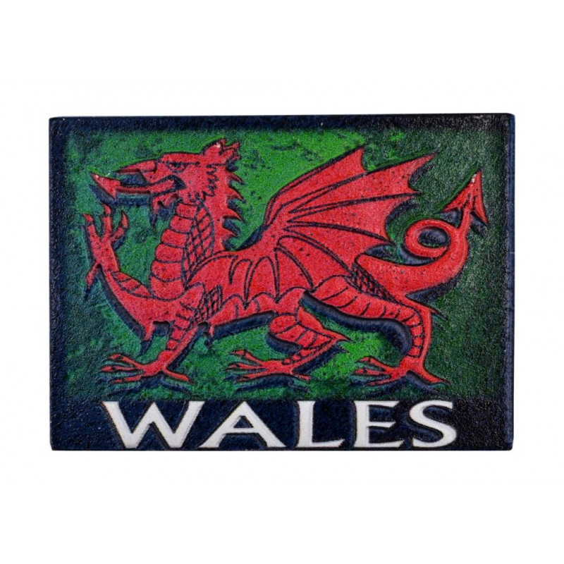 Wales 3D Printed Dragon Magnet
