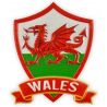 Wales 3D Printed Shield Magnet