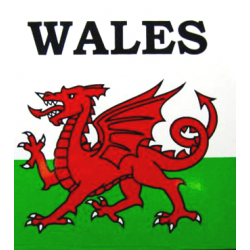 Medium Outside Wales Sticker