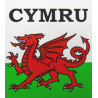 Medium Outside Cymru Sticker
