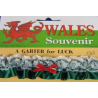 Lucky Welsh Garter