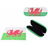 Flag Glasses Case with Flag Cloth