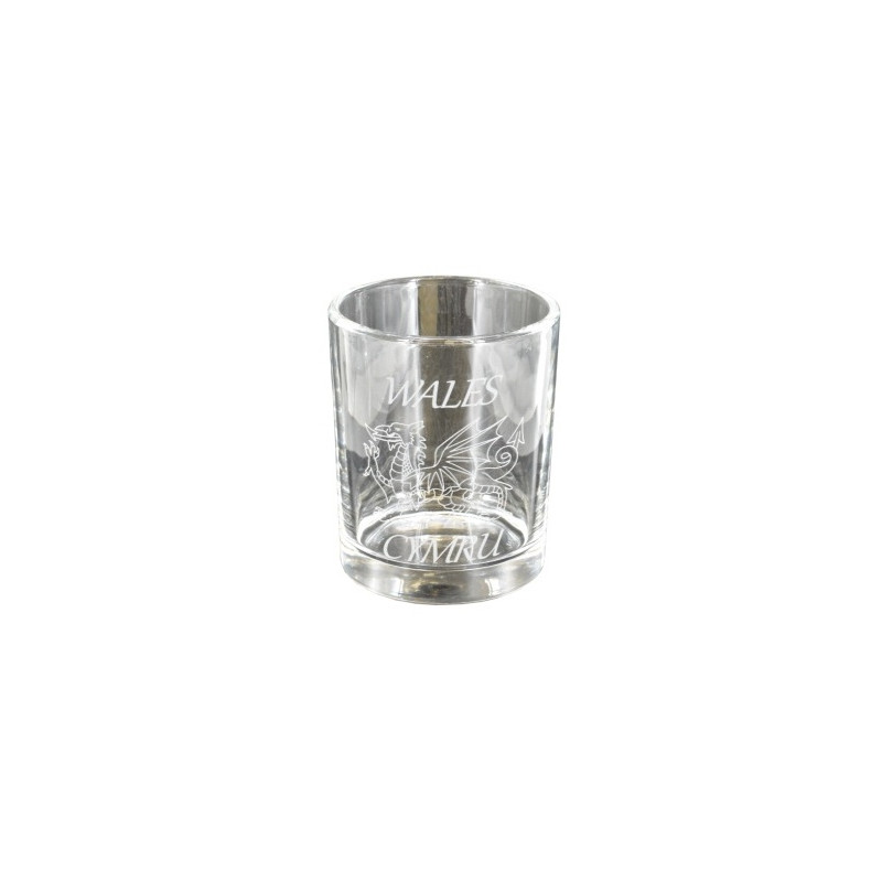 Wales Cymru Tumbler 280ml