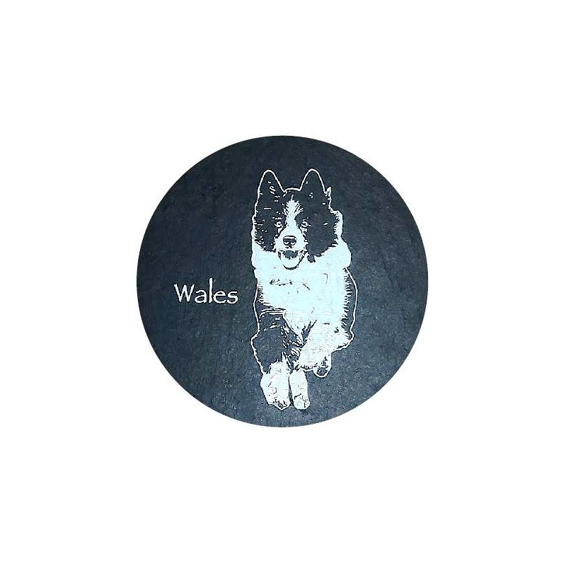 Welsh Slate Coaster Collie Dog