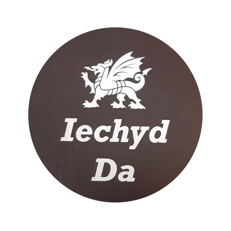 Welsh Slate Coaster Iechyd Da