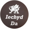 Welsh Slate Coaster Iechyd Da