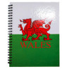 A5 Wales Dragon Lined Notebook