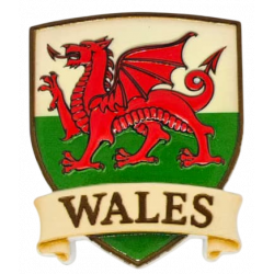 Wales Resin Shield Magnet