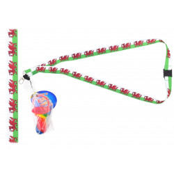 Welsh Flag Lanyard with Rock Dummy