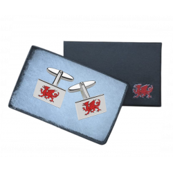 Dragon Boxed Cufflinks