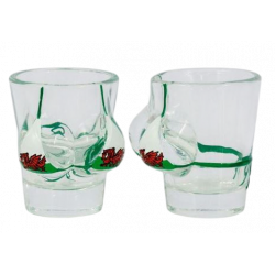 Wales Flag Bikini Shot Glass