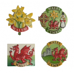 Welsh Resin Fridge Magnets