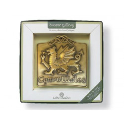 Bronze Plated Dragon Wall Plaque
