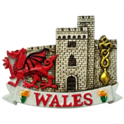 Dragon Castle Resin Magnet