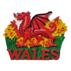 Dragon Daffodils Magnet