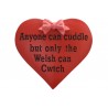 Wales Cwtch Magnet