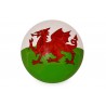 32 Panel Wales Leather Football