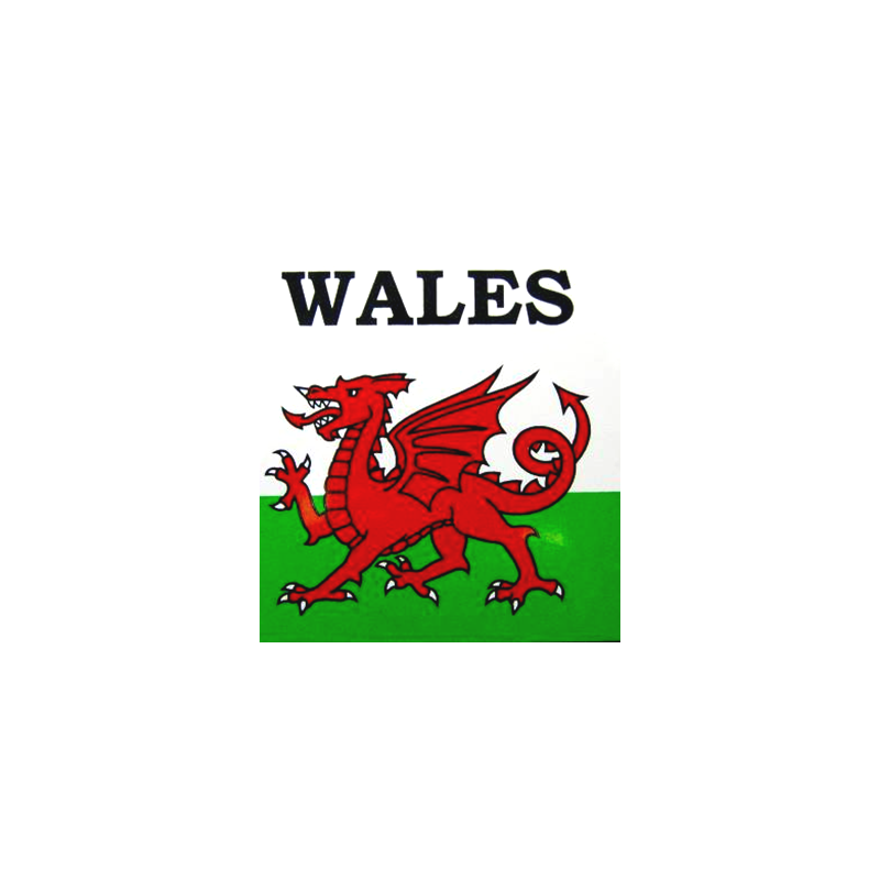 Large Outside Wales Sticker