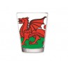 Welsh Flag Shot Glass